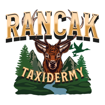 Rancak Taxidermy