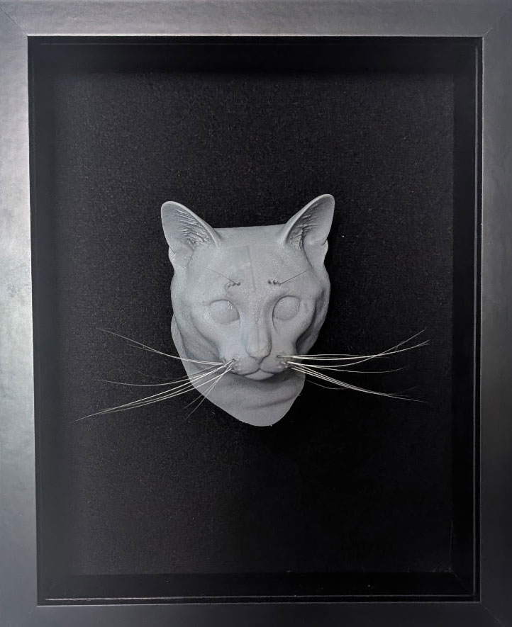 Cat3Dprint
